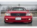 Thumbnail Photo 3 for 1997 Mercedes-Benz SL600